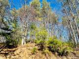 71 Turkey Trot Trail - Photo 2