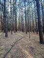 678 Turnersburg Highway - Photo 34