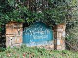 Lot 11 Rhododendron Drive - Photo 12