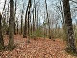 Lot 11 Rhododendron Drive - Photo 4