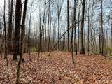 Lot 14 Rhododendron Drive - Photo 3