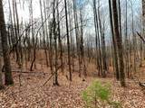 Lot 14 Rhododendron Drive - Photo 10