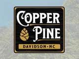 150 Copper Pine Lane - Photo 7