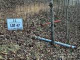 Lot 47 Nickajack Road - Photo 4