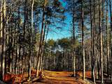 130 Hunt Camp Trail - Photo 5