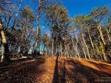 127 Hunt Camp Trail - Photo 1