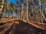127 Hunt Camp Trail - Photo 2