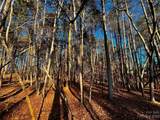 127 Hunt Camp Trail - Photo 5