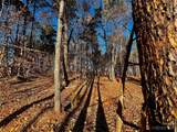 123 Hunt Camp Trail - Photo 2