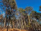 123 Hunt Camp Trail - Photo 3