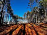 109 Hunt Camp Trail - Photo 1