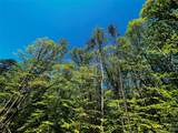 109 Hunt Camp Trail - Photo 14