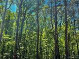 109 Hunt Camp Trail - Photo 15