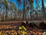 126 Hunt Camp Trail - Photo 4