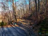 58 Flora Rose Trail - Photo 6