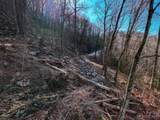 58 Flora Rose Trail - Photo 8