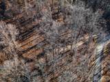 64 Flora Rose Trail - Photo 3