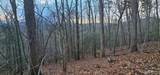 Lot 10 Seay Mountain Road - Photo 6