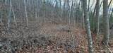 Lot 10 Seay Mountain Road - Photo 9