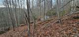 Lot 13 Seay Mountain Road - Photo 4