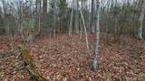 Lot 14 Seay Mountain Road - Photo 7