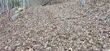 4 Lots Seay Mountain Road - Photo 14