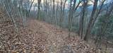 4 Lots Seay Mountain Road - Photo 16