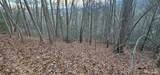 4 Lots Seay Mountain Road - Photo 17
