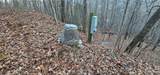 4 Lots Seay Mountain Road - Photo 28
