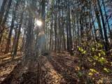 129 Sleepy Cove Trail - Photo 4