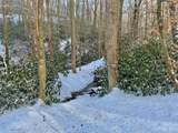 103 Gray Cliffs Way - Photo 11