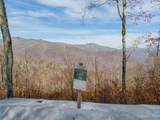 Lot 38 Black Bear Run - Photo 1