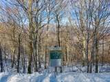 Lot 28 Black Bear Run - Photo 1