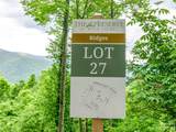 Lot 27 Black Bear Run - Photo 2