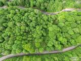 Lot 27 Black Bear Run - Photo 8