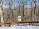 Lot 43 Black Bear Run - Photo 1