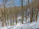 Lot 42 Black Bear Run - Photo 1