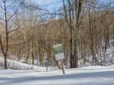 Lot 44 Black Bear Run - Photo 1