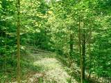 Lot 9 Mountain Gait Drive - Photo 10