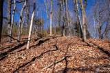 Lot# 502 Fire Crest Lane - Photo 27