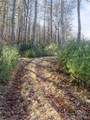 315 Garren Creek Road - Photo 33