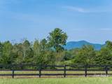 Lot 46 A R Thompson Road - Photo 9
