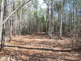 TBD Grassy Island Road - Photo 25