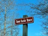204 Tom Fazio Trace - Photo 2