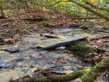 L41 Abby Falls Road - Photo 1