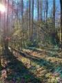 L41 Abby Falls Road - Photo 11