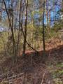 L41 Abby Falls Road - Photo 13