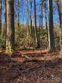 L41 Abby Falls Road - Photo 14