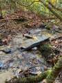 L41 Abby Falls Road - Photo 15