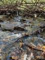 L41 Abby Falls Road - Photo 16